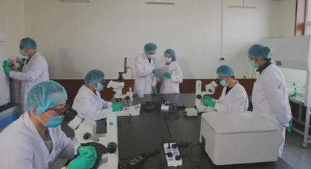 我市打造&ldquo;四種模式&rdquo; 讓農(nóng)業(yè)社會化服務(wù)為鄉(xiāng)村振興&ldquo;賦能&rdquo;